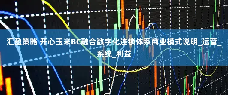 汇盈策略 开心玉米BC融合数字化连锁体系商业模式说明_运营_系统_利益