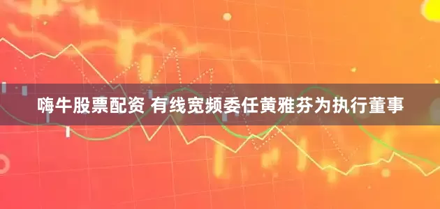 嗨牛股票配资 有线宽频委任黄雅芬为执行董事